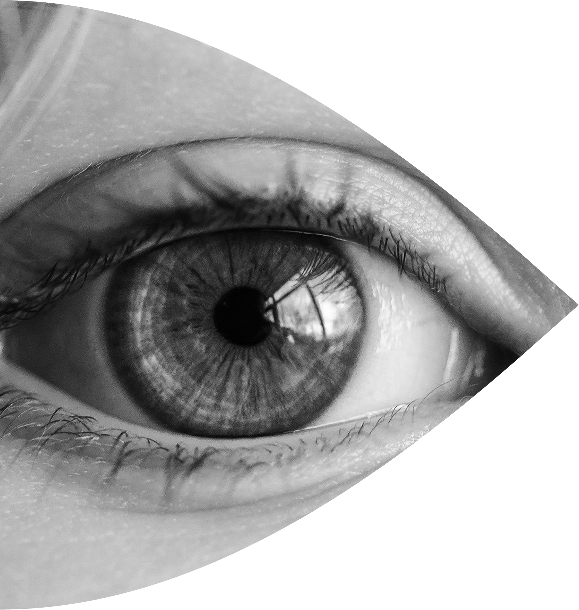An open eye: Parcours Patient